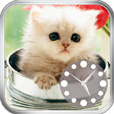 cat photo clock icon